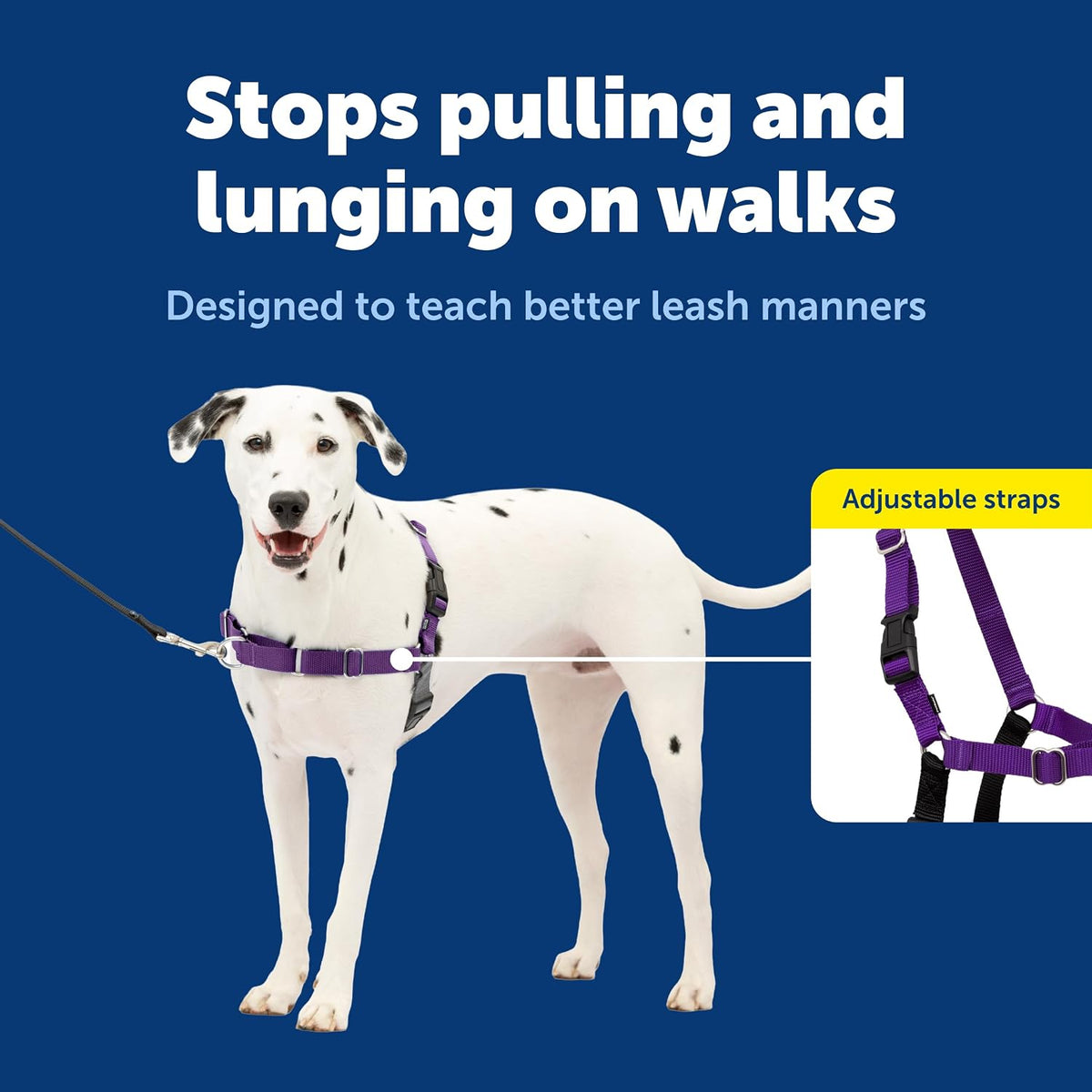 PetSafe dog harness showing front martingale loop