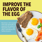 Non-GMO mealworms displayed for chicken and duck nutrition