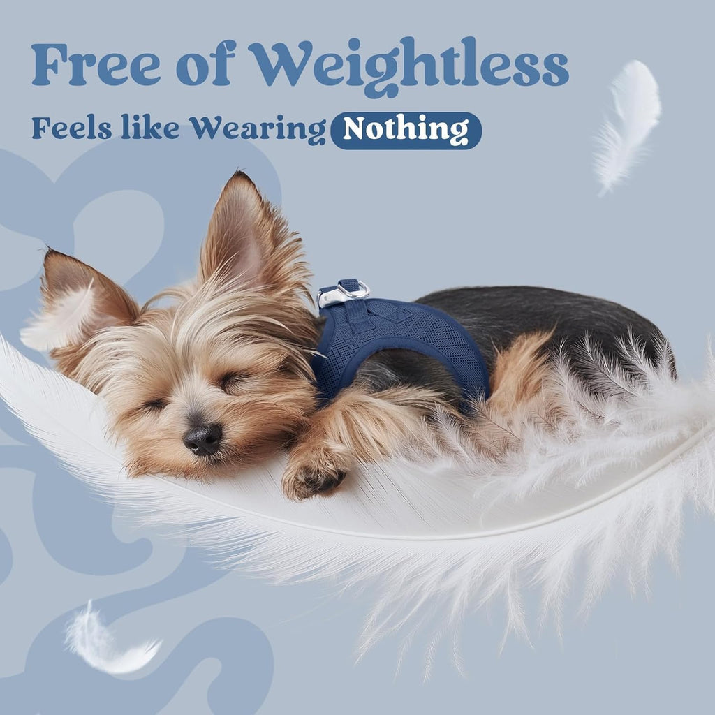Demonstration of the step in design showing easy application for small dogs