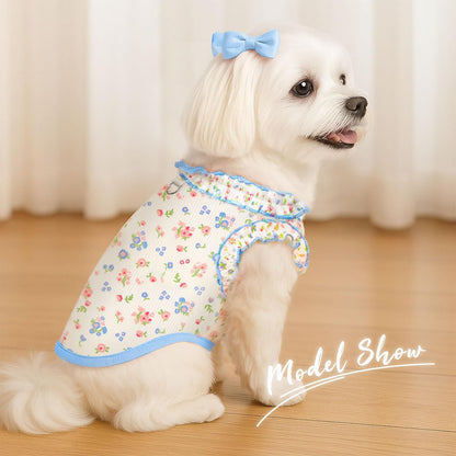 Small dog wearing Axiijgl summer shirt with D-ring detail