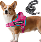 AUROTH Dog Harness and Leash Set, Soft Padded Service Dog Vest with 5.25FT Dog Leash, No Choke, Easy On Pet Vest, Adjustable Reflective No Pull Dog Harness for Large Dogs, Easy Walking and Training - Image 15