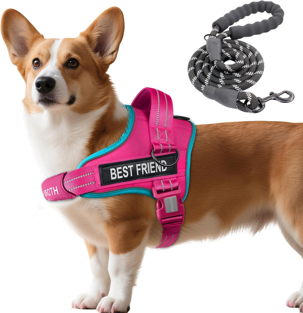 AUROTH Dog Harness and Leash Set, Soft Padded Service Dog Vest with 5.25FT Dog Leash, No Choke, Easy On Pet Vest, Adjustable Reflective No Pull Dog Harness for Large Dogs, Easy Walking and Training - Image 15