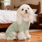 Paiaite striped medium dog apparel being worn by a pet to demonstrate rear leg stretch and comfort.