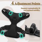 Close up of metal leash clips on Rabbitgoo harness