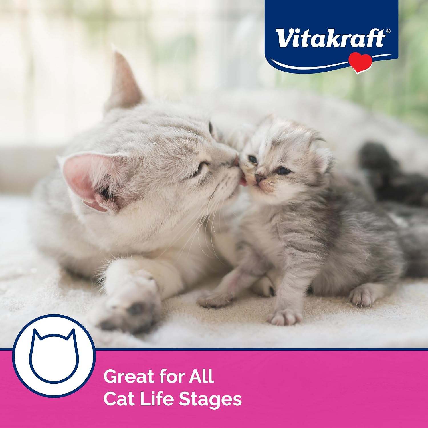 Owner feeding cat Vitakraft Lick N Lap by hand for bonding