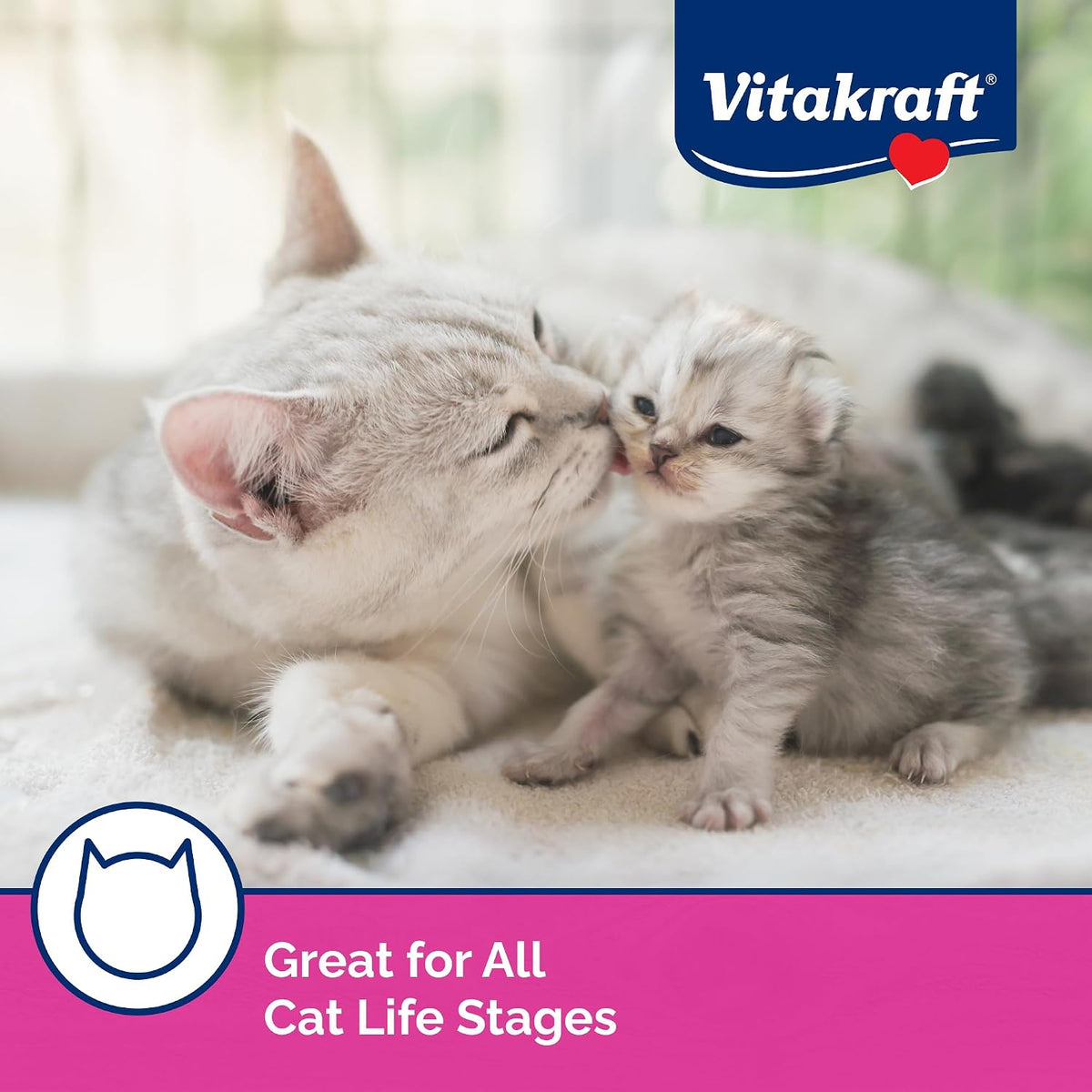 Owner feeding cat Vitakraft Lick N Lap by hand for bonding
