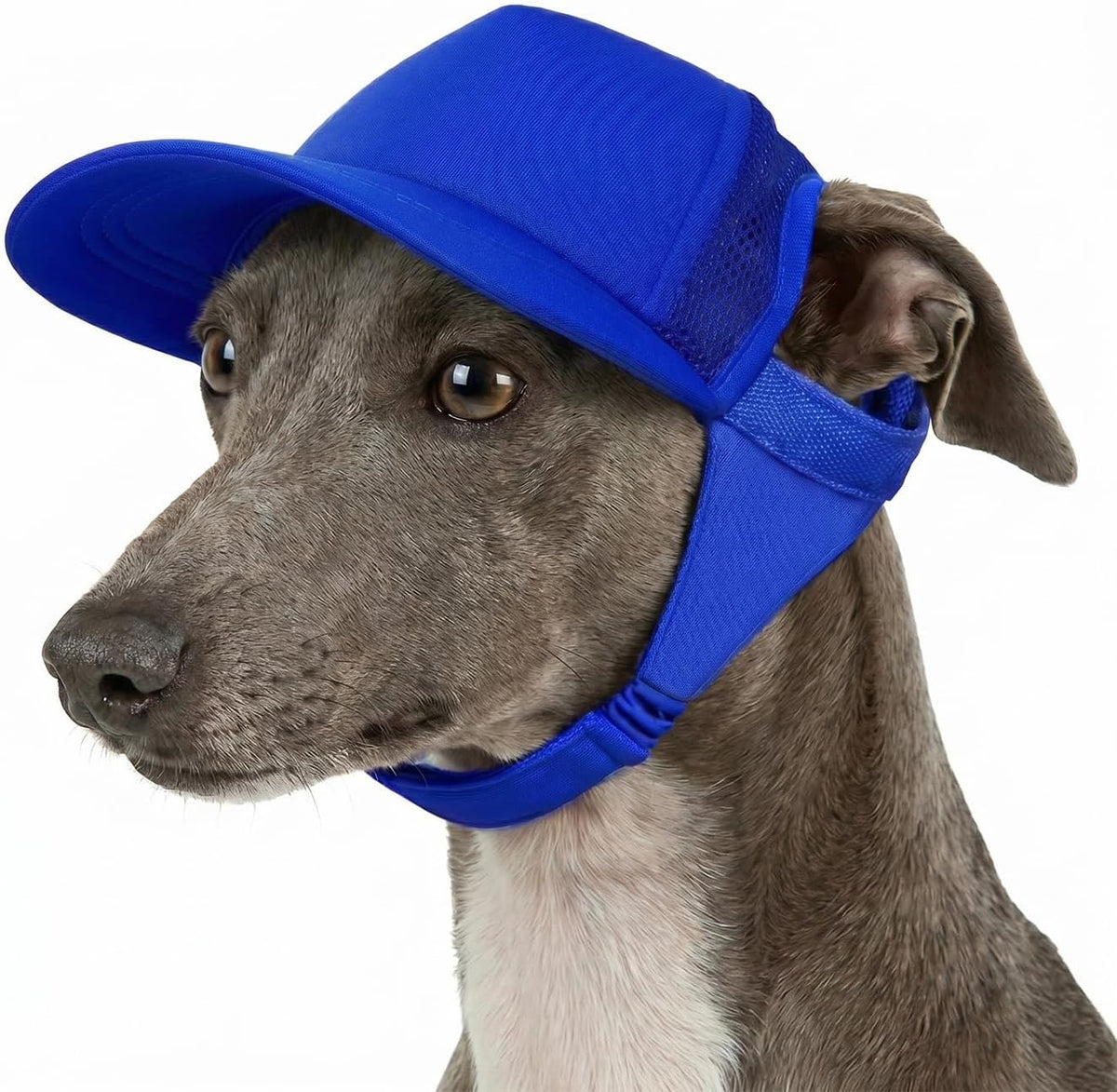 Tuff Pupper Dog Baseball Cap | UV Protection Dog Sun Hat | Breathable Lightweight Design | Secure Adjustable Chin Strap | Quick-Dry Fabric | Reinforced Brim | Small Medium Large Dogs (Red, L) - Image 14