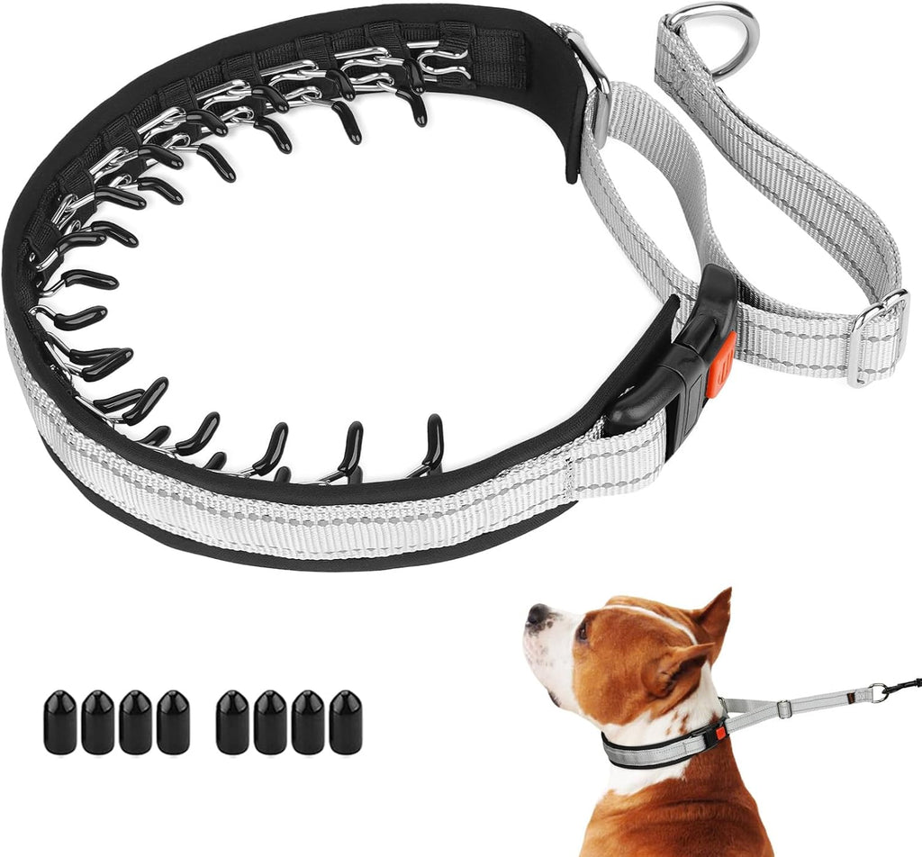 Mayerzon No Pull Dog Collar, Patented Martingale Collar for Small Medium Large Dogs with Buckle and Heavy Duty Nylon for Walking Training Hunting, Safe and Easy to Use(M, Green) - Image 12