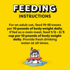 Temptations crunchy outside soft inside cat treats texture showcase