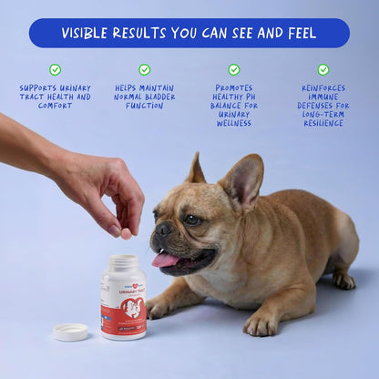 Coco and Luna canine bladder support chewable tablets packaging showing active ingredients.