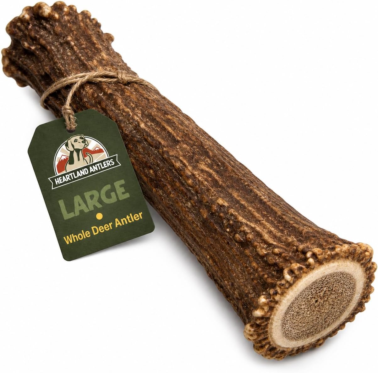 Heartland Antlers Whole Deer Antler dog chew front view authentic USA imported