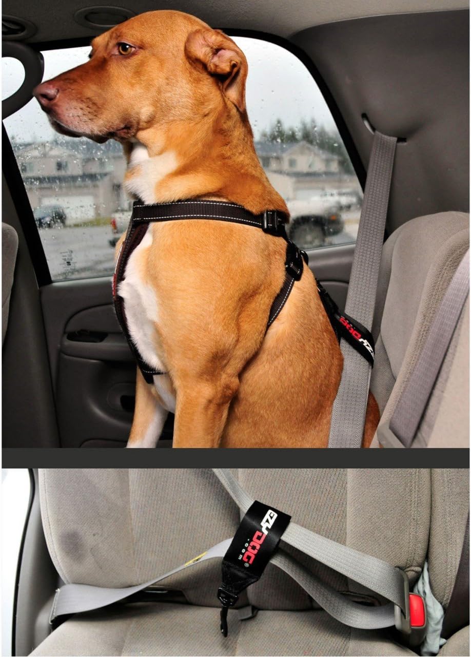 Close up of heavy-duty carabiner on EzyDog car seat belt attachment