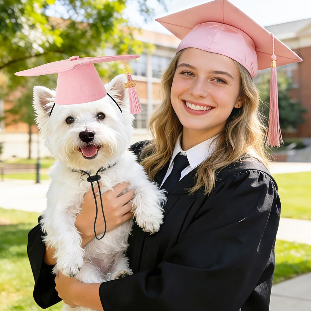 Cat wearing mini graduation cap for photo prop