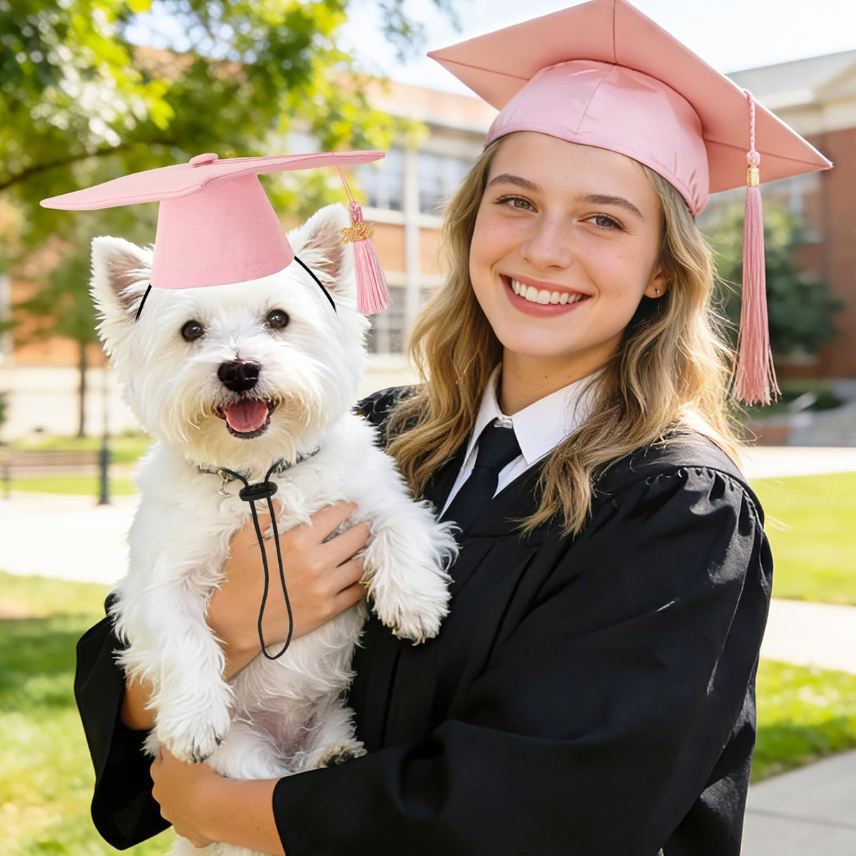 Cat wearing mini graduation cap for photo prop