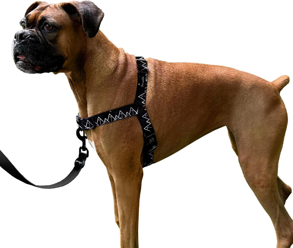 ShawnCo Dream Walk No-Pull Dog Harness- Adjustable, Comfortable, Easy to Use Pet Halter to Help Stop Pulling for Small, Medium and Large Dogs (Oceanic Blue, L) - Image 12