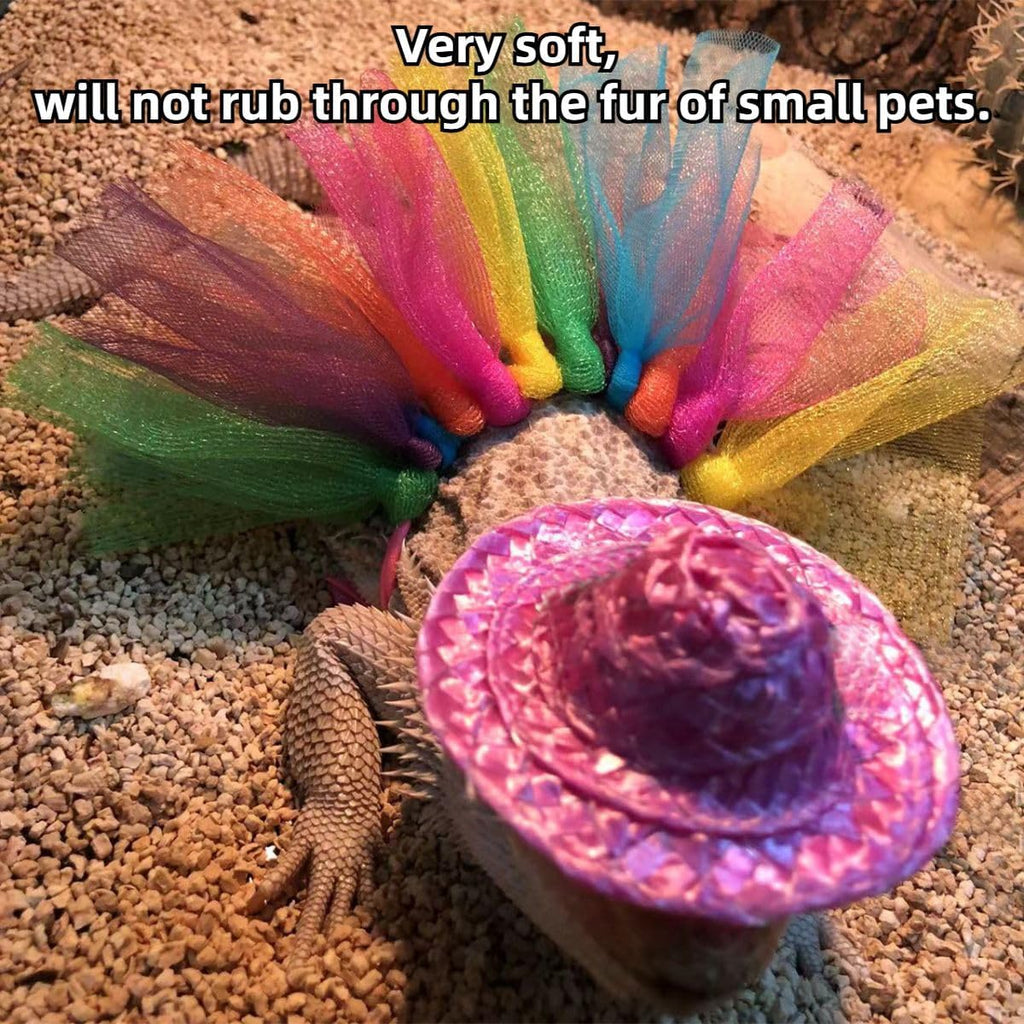 Side angle view of the authentic Sawyd reptile holiday outfit kit