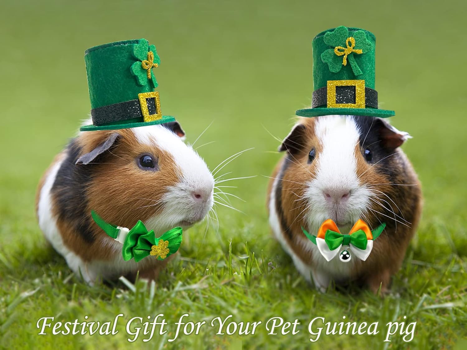 Vehomy four piece festive pet costume set laid flat showing small sizing.