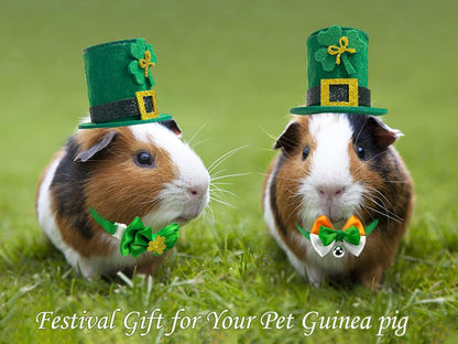 Vehomy four piece festive pet costume set laid flat showing small sizing.