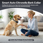 Close up of Queenmew bark collar sensitivity controls