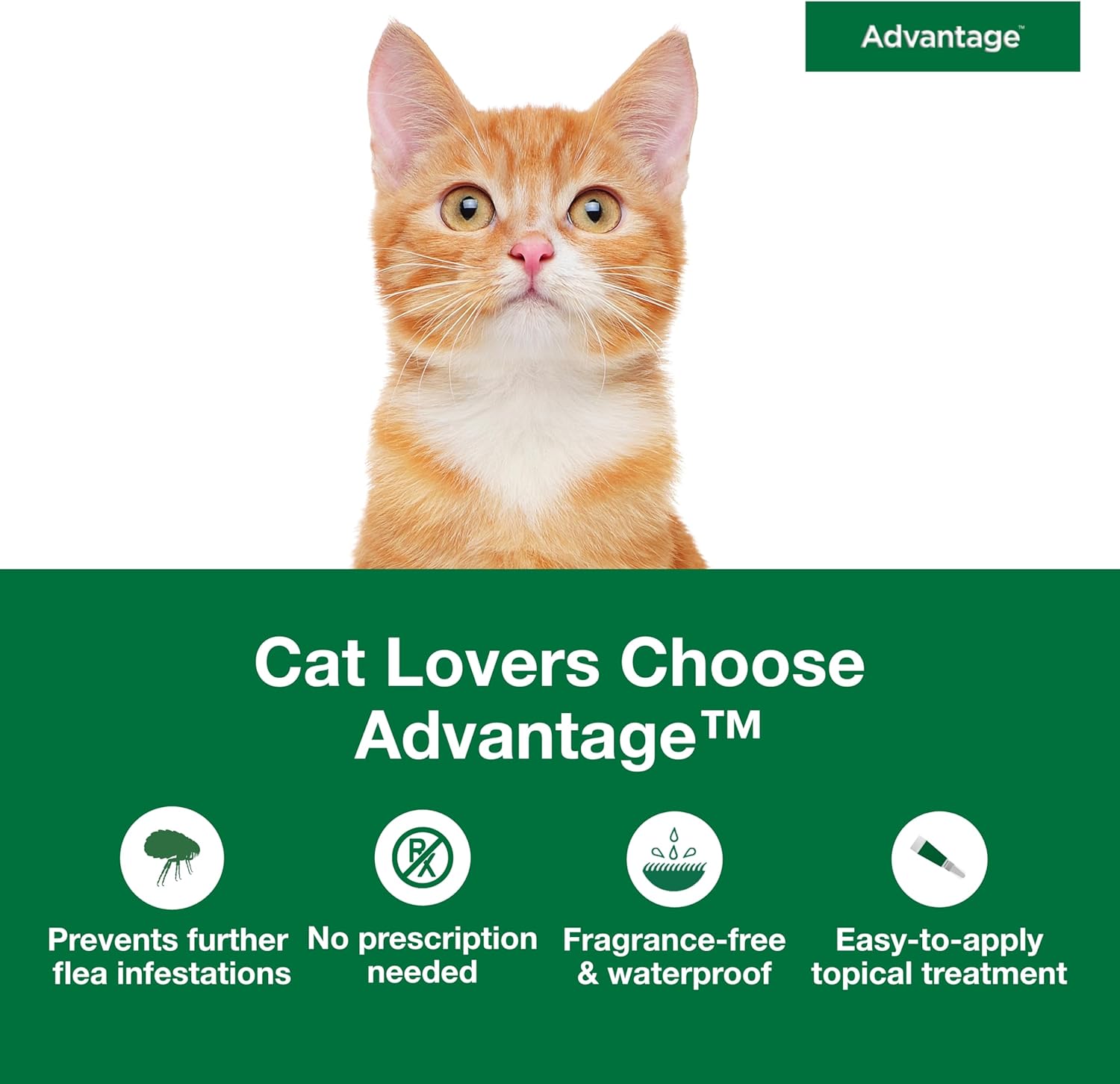 Monthly topical cat flea prevention fluid applicator tubes pack of two