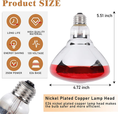 Professional grade 250 watt infrared poultry brooding lamp showing filament.