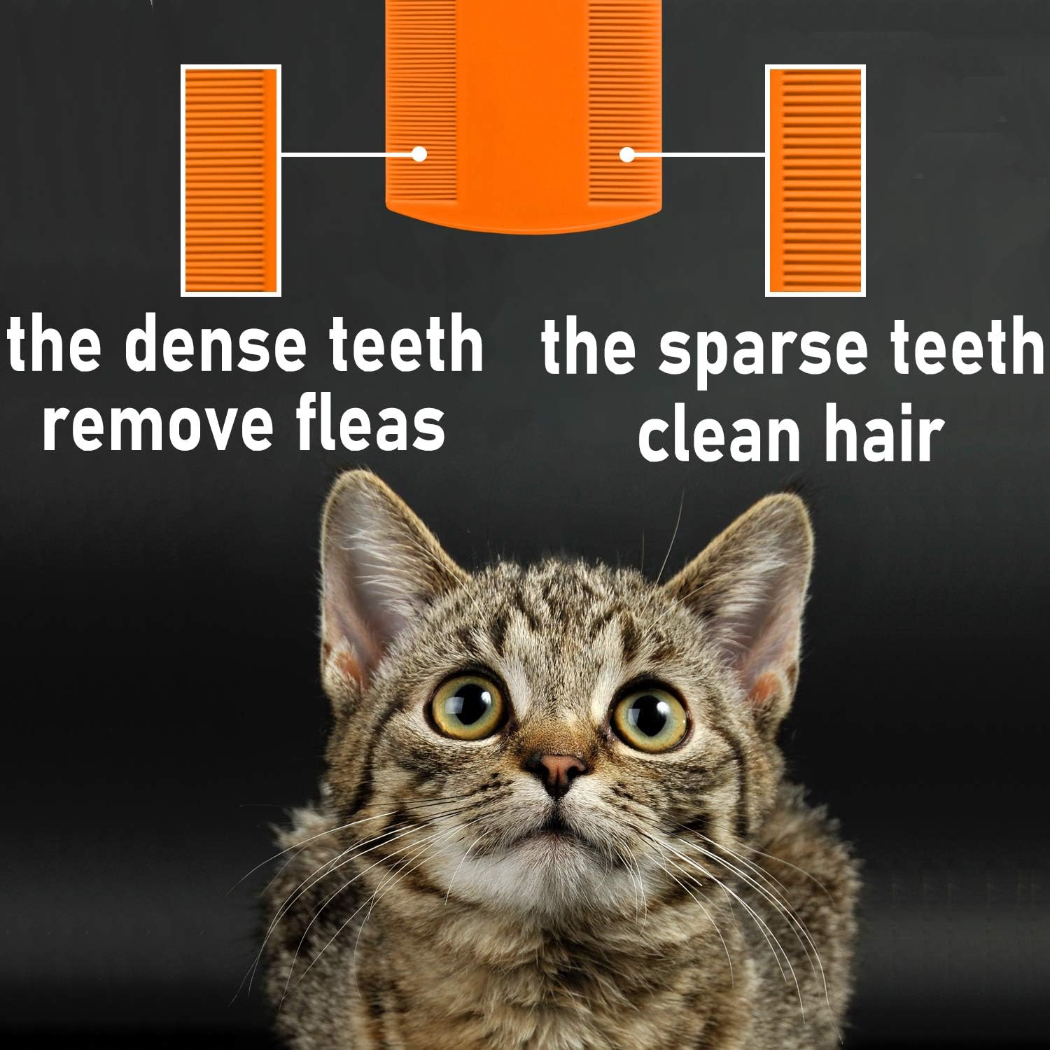 MoHern colorful plastic lice combs for dogs and cats