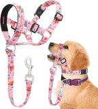 Ezierfy dog head collar packaging and product components