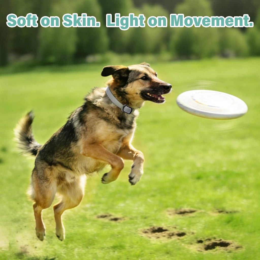Waterproof flea and tick collar for large and small dogs