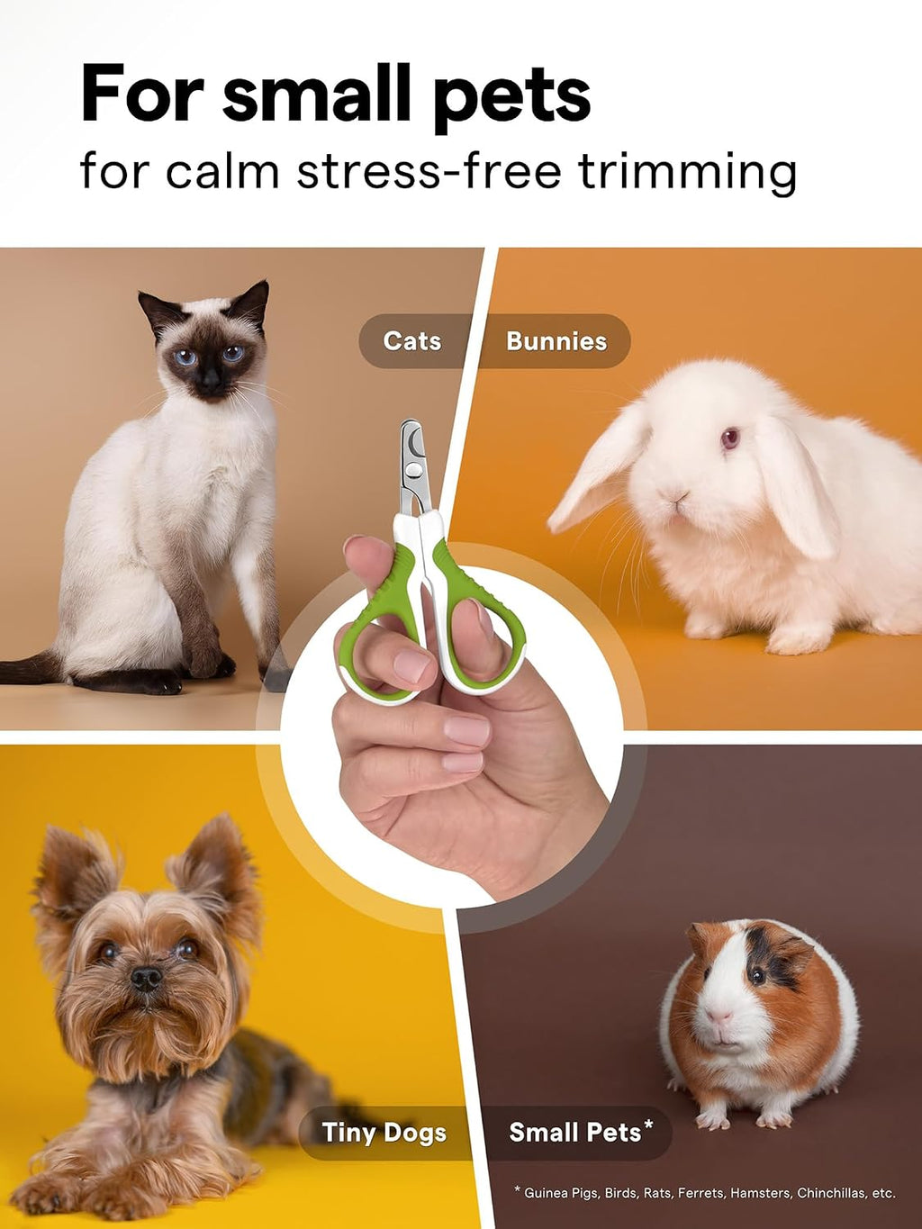 Shiny Pet grooming tool shown alongside digital app guide interface