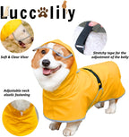 Waterproof dog rain jacket with transparent hood brim and adjustable belly strap