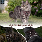 Large Cat Harness & Leash Set, Escape-Proof Soft Vest for Outdoor Walking - Image 6