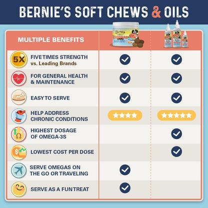 Bernie's canine joint supplement soft chews displayed next to natural ingredients like anchovy and algal oil graphics.