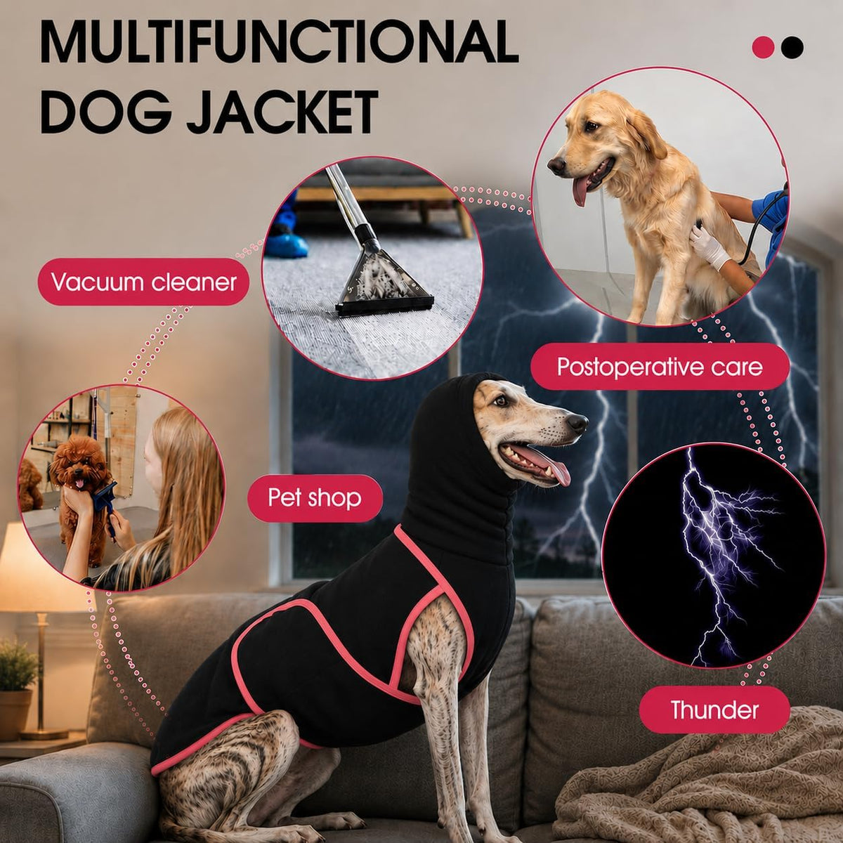 Adnikia noise protection coat close-up of the stretchy turtleneck extended over a dog's ears.
