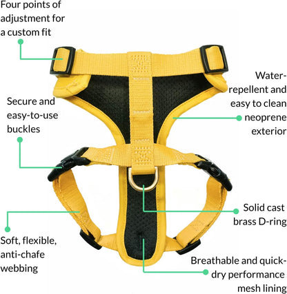 Reflective trim detail on Django medium dog harness