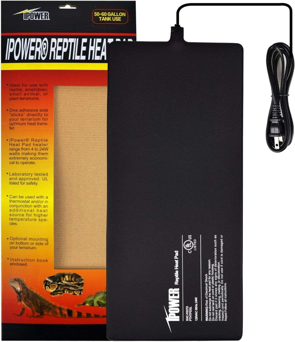 digital aquarium thermometer display