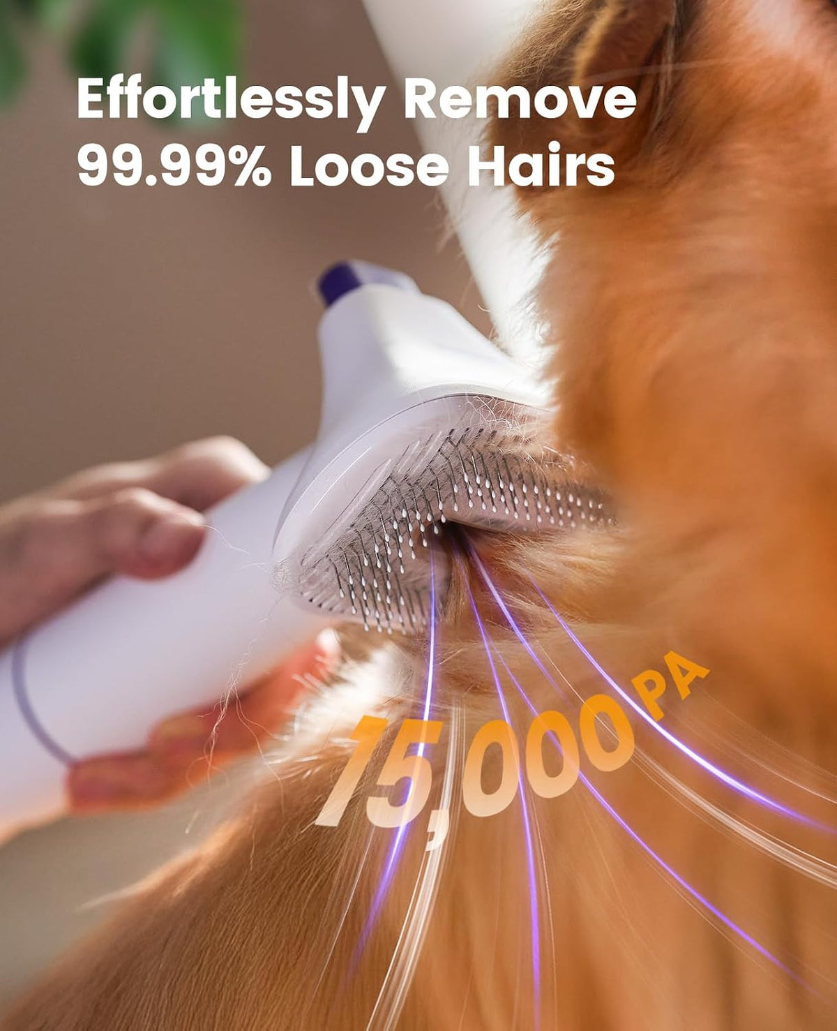 Oneisall shedding brush attachment showing safe metal points for thick double coats