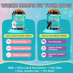 Woyamay Flea and Tick Prevention for Dogs, Natural Flea + Coat Glow Soft Chews, Dog Flea and Tick Treatment Chewable, Reduces Itch & Shedding with Fish Oil & Neem, Chicken Flavor - Image 9