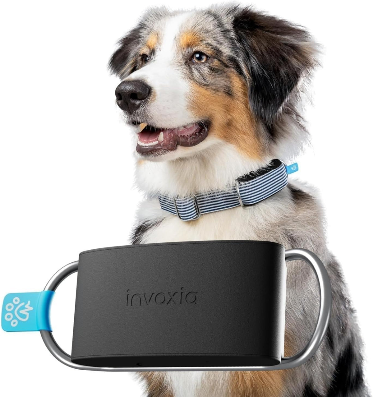 Invoxia Minitailz health and GPS tracker for dogs front view