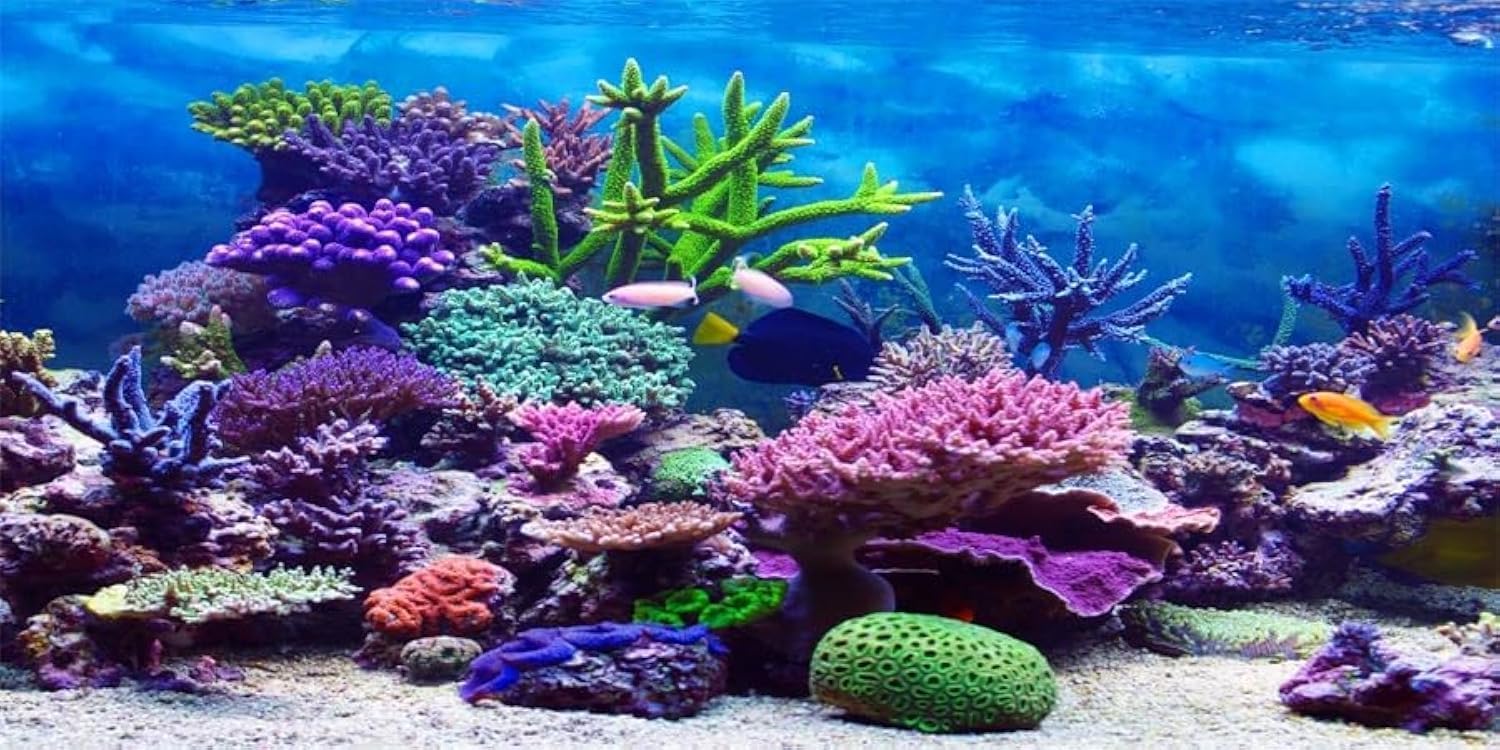 YongFoto Ocean Theme Fish Tank Background 36x14 inch Coral Seaweed Reef Rock Tropical Fish Underwater Sea World Polyester Backdrop Reptile Habitat Terrarium Aquarium Background - Image 9