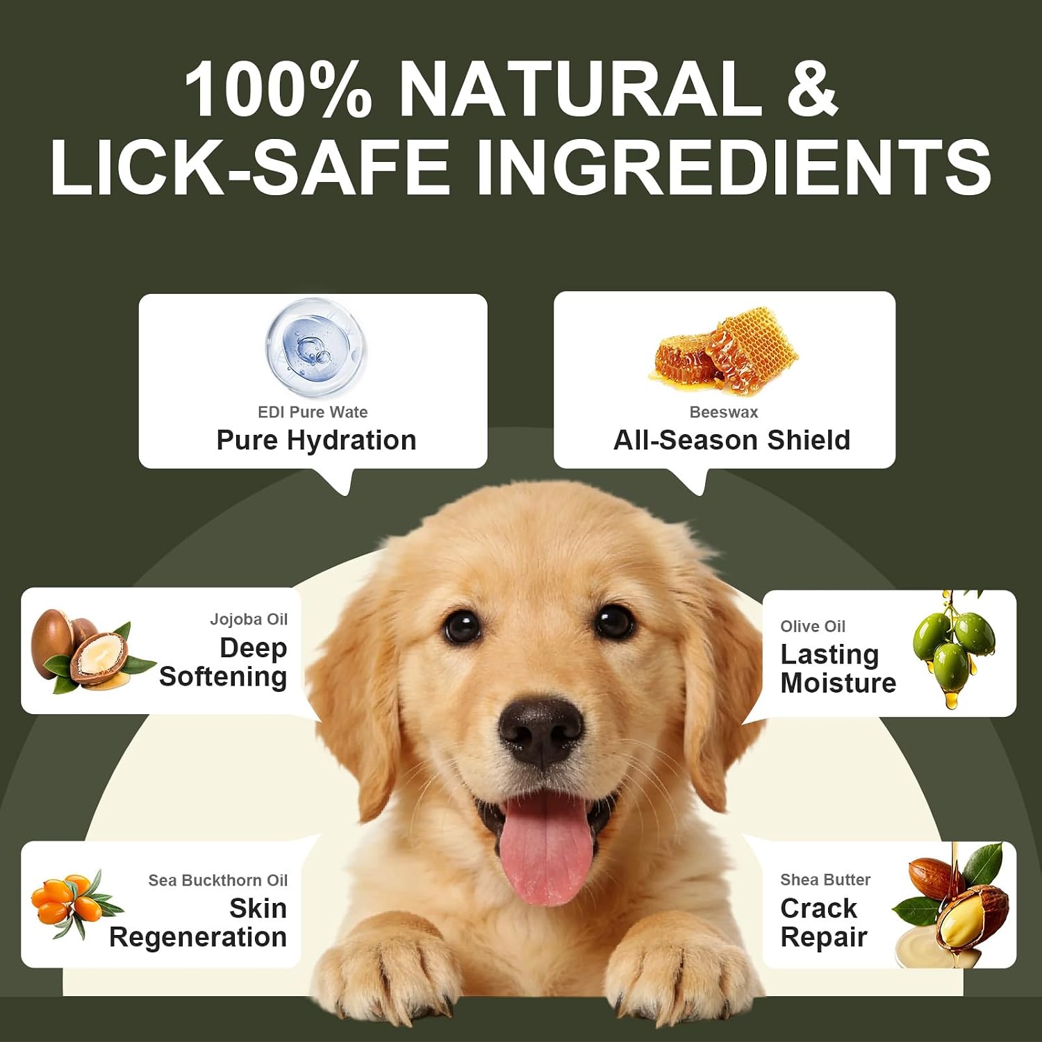 Applying sea buckthorn paw moisturizer on cracked dog pads