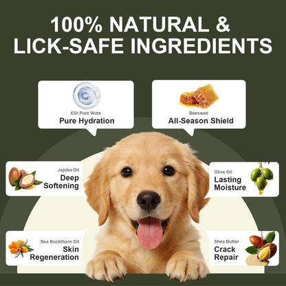 Applying sea buckthorn paw moisturizer on cracked dog pads