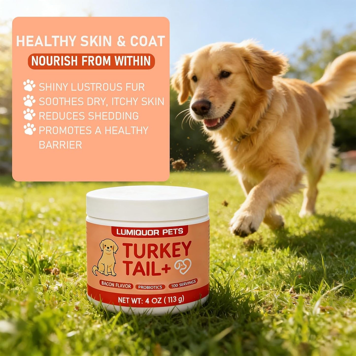 Probiotic infused turkey tail mushroom supplement for aging pets