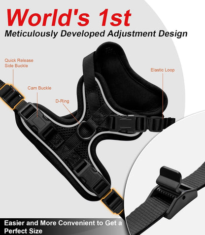 Comfortable no pull cat walking vest with nylon leash attached.