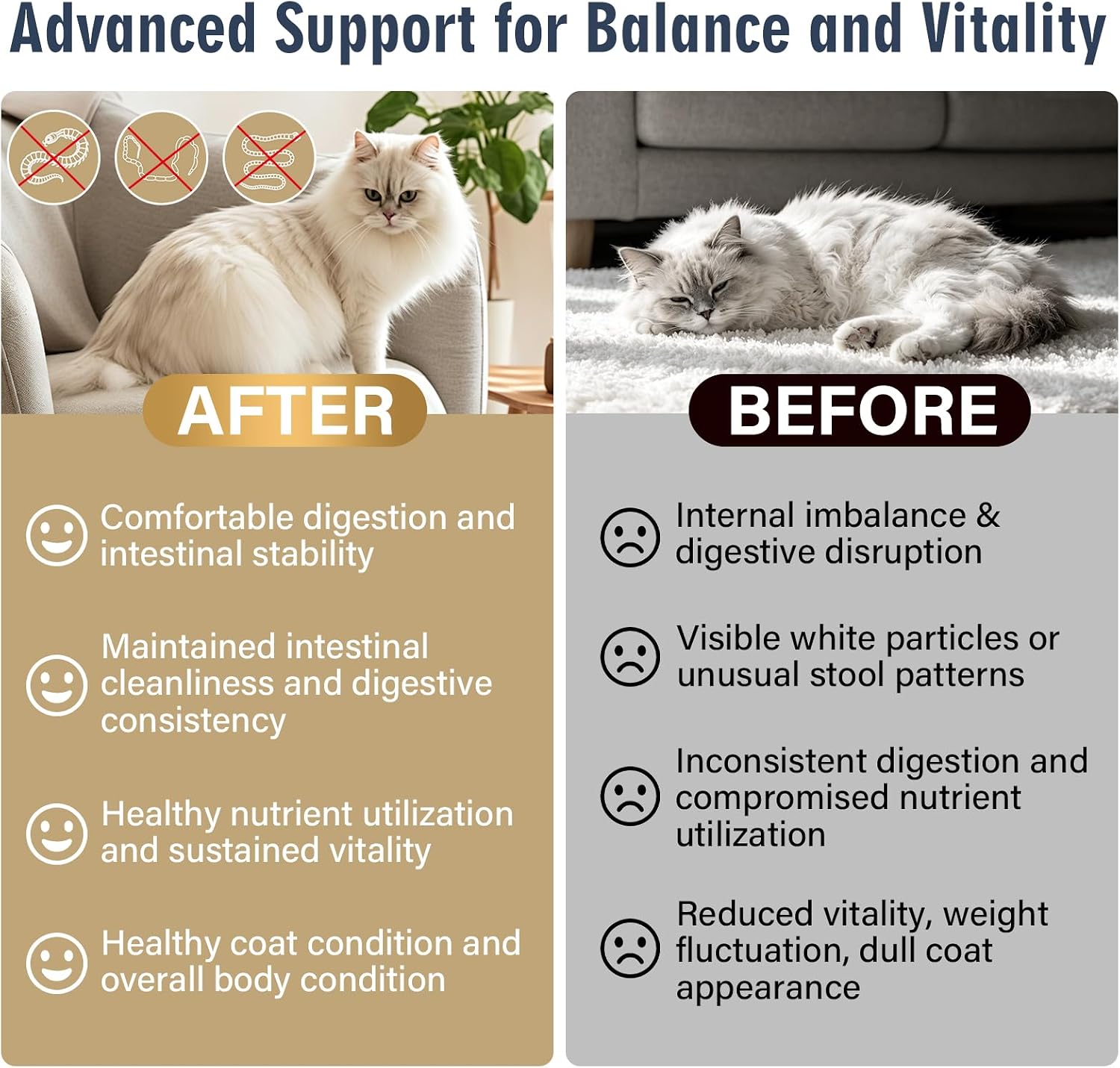 USA imported praziquantel liquid wormer for cats and kittens