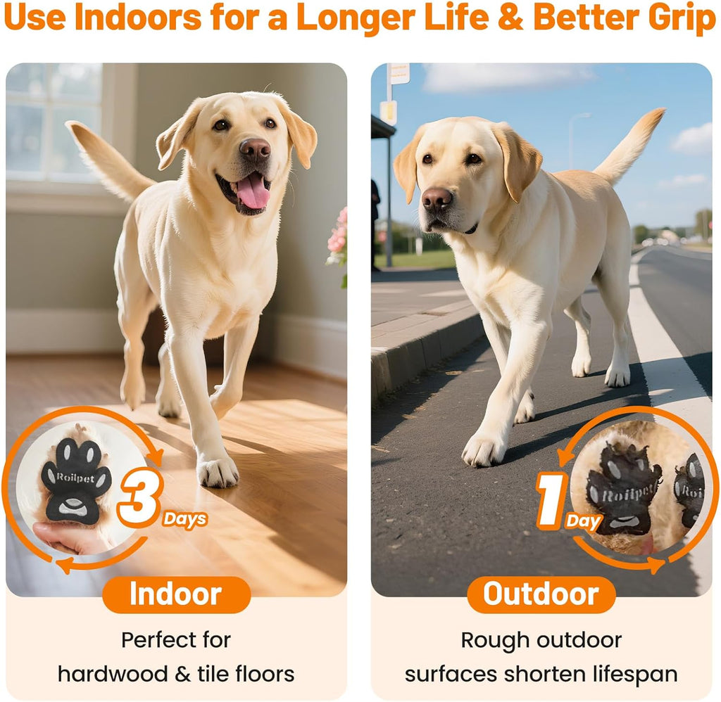 Side profile of dog walking comfortably with Roilpet grip pads
