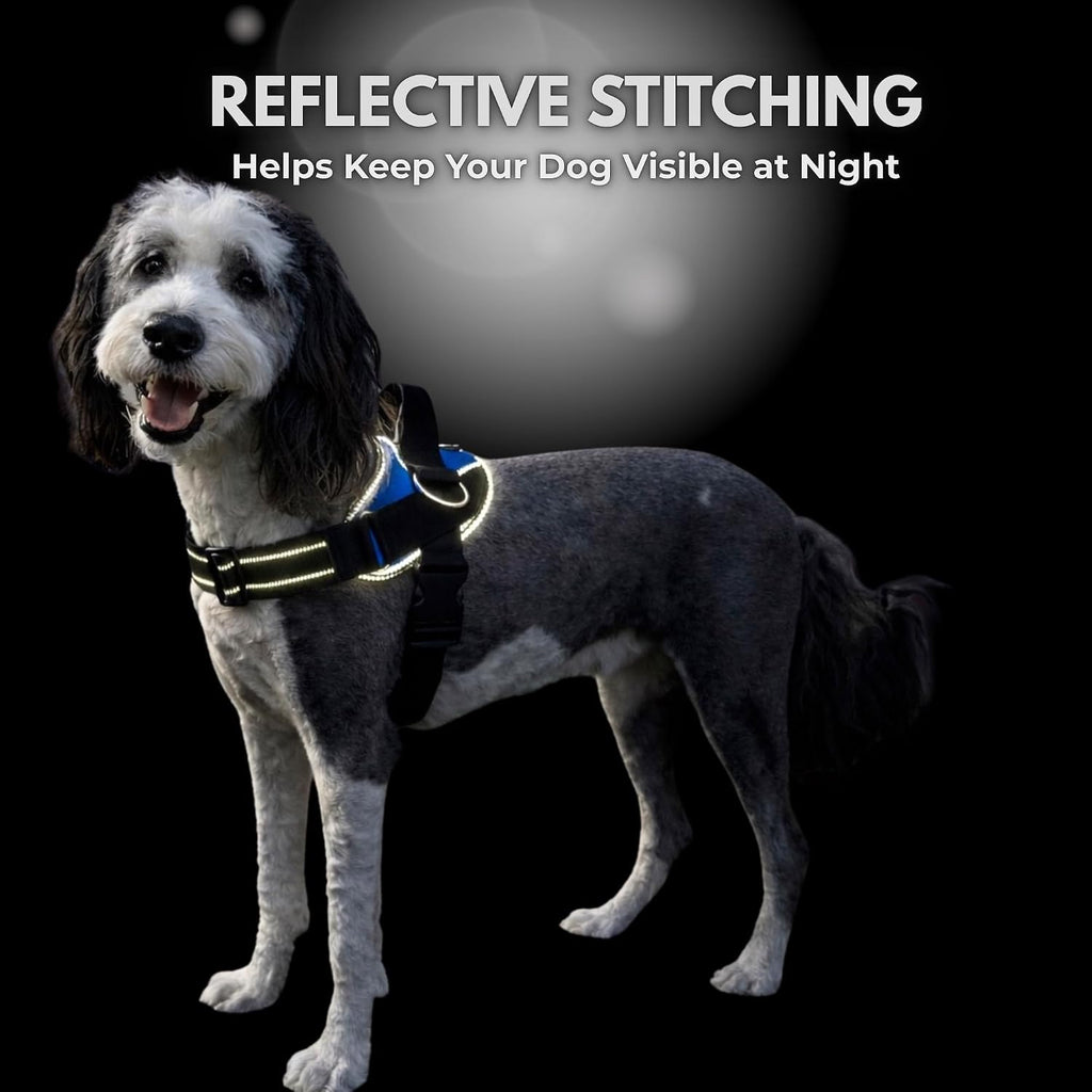 Detailed view of reflective safety elements on pet harness