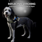 Detailed view of reflective safety elements on pet harness