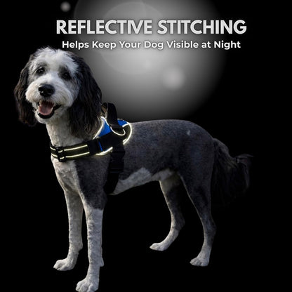 Detailed view of reflective safety elements on pet harness