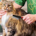 Yumflan flea comb for dogs and cats in retail packaging