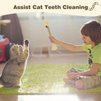 Sinrobo branded cat toy packaging details